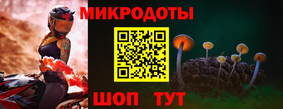 Галлюциногенные грибы GOLDEN TEACHER  Вход с VPN  Тулун  Галлюциногенные грибы Magic Shrooms 